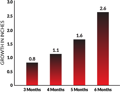 MaleExtra Resutls Growth Graph