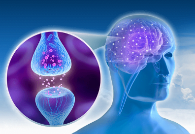 How Brain Pill works on neurons
