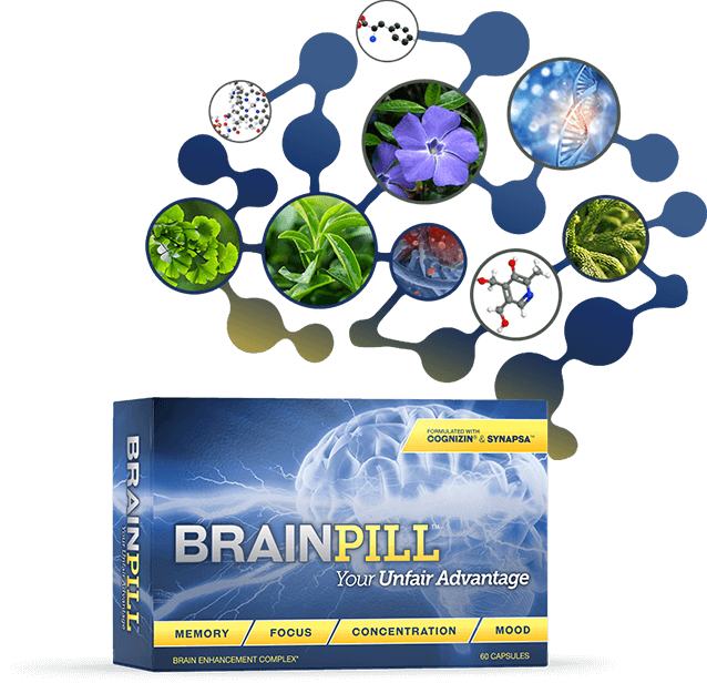 Brain Pill Ingredients