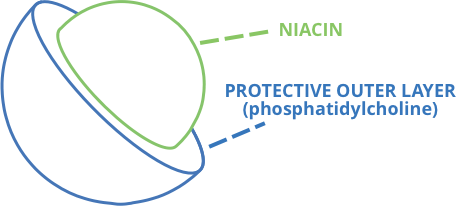 NiacinMax Encapsulation